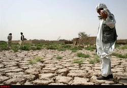 News Image Lead