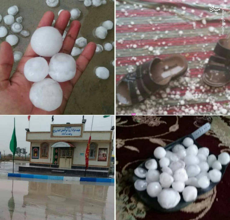 عکس/ بارش تگرگ‌های تخم‌مرغی در بوشهر!