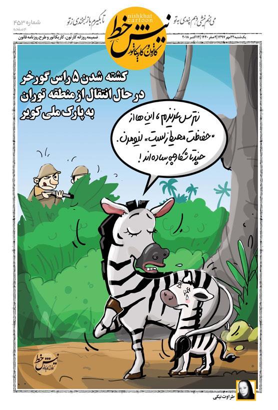 کاریکاتور/ کشته شدن ۵ راس گورخر در حال انتقال از منطقه توران به پارک ملی کویر