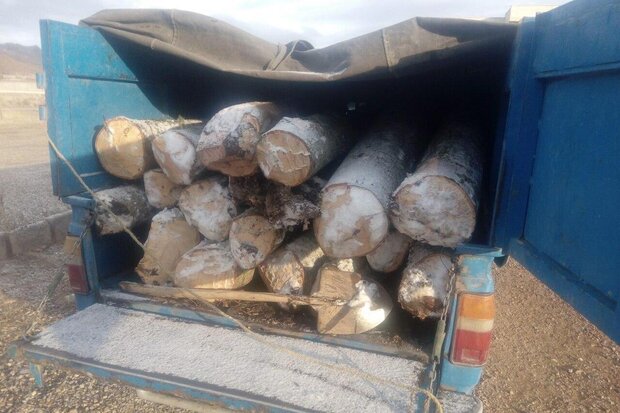 ۴ خودرو نیسان حاوی چوب قاچاق در شاهرود متوقف شد
