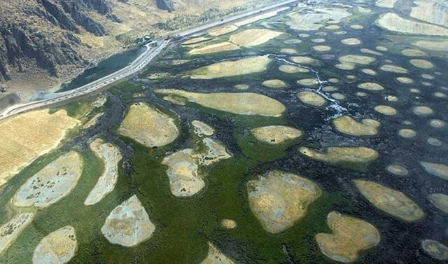 تالابی از اسکاندیناوی در کرمانشاه!