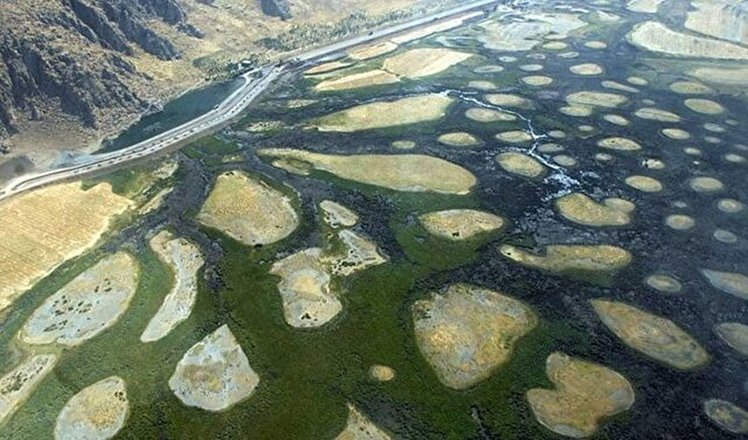 تالابی از اسکاندیناوی در کرمانشاه!