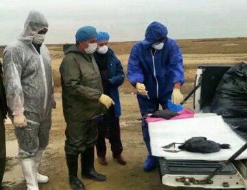 علت تلفات پرندگان مهاجر از سوی دامپزشکی گلستان اعلام می‌شود