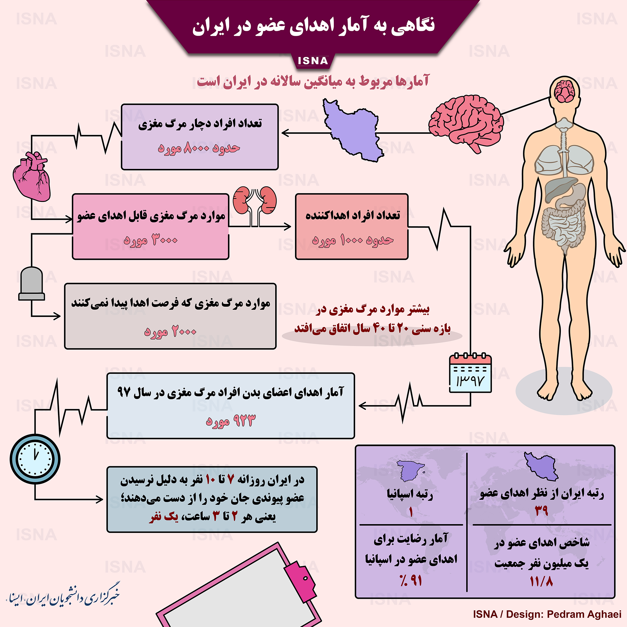 اینفوگرافیک/ نگاهی به آمار اهدای عضو در ایران