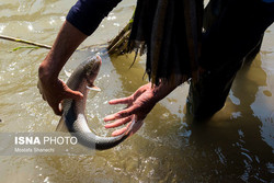 News Image Lead