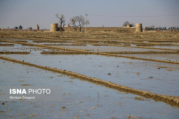آب کشت غله کشاورزان اصفهان تا پایان خرداد بسته می‌شود