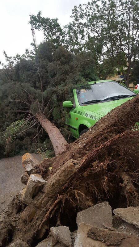 عکس | سقوط درخت روی خودرو بر اثر طوفان تهران