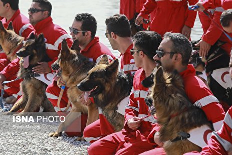 گزارش تصویری: مانور سگ‌های‌ جستجو و نجات‌ هلال‌احمر