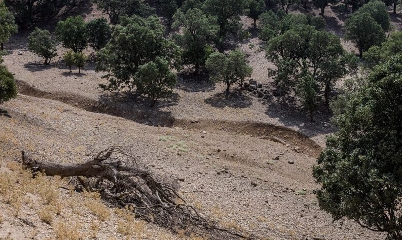 دستگیری ۳۹۵ متخلف زیست محیطی در لرستان