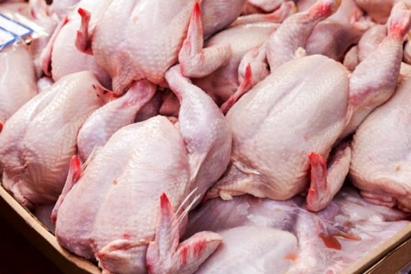 دو نرخی بودن قیمت مرغ در کرمان