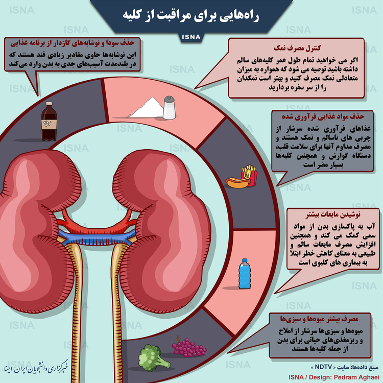 اینفوگرافیک/ راه‌هایی برای مراقبت از کلیه
