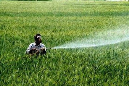 مالکیت۲۰درصد بهره‌برداران کشاورزی خراسان رضوی بر ۸۰ درصد مزارع