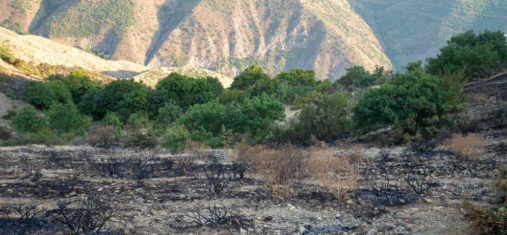 مهار آتش سوزی جنگل های ارسباران بعد از قریب یک هفته
