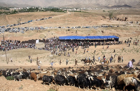 ایل سنگسری؛ ایلی که طولانی‌ترین مسیر کوچ جهان را می‌پیماید
