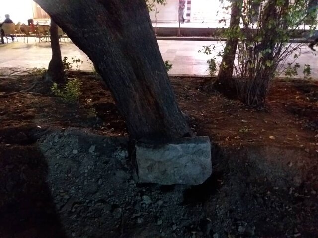 ریشههای چهارباغ ناله میکنند