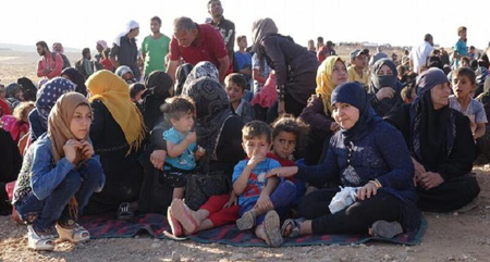 وعده لندسی گراهام به کردهای سوریه، حقیقت یا نمایش؟!