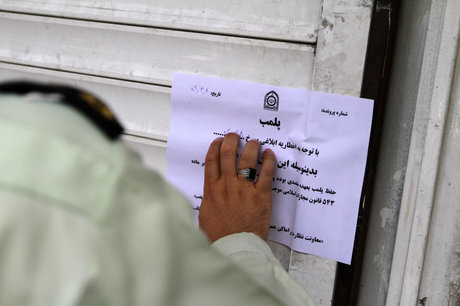 ‌پلمب ۱۳ واحد عرضه مرغ زنده در شهرستان زابل