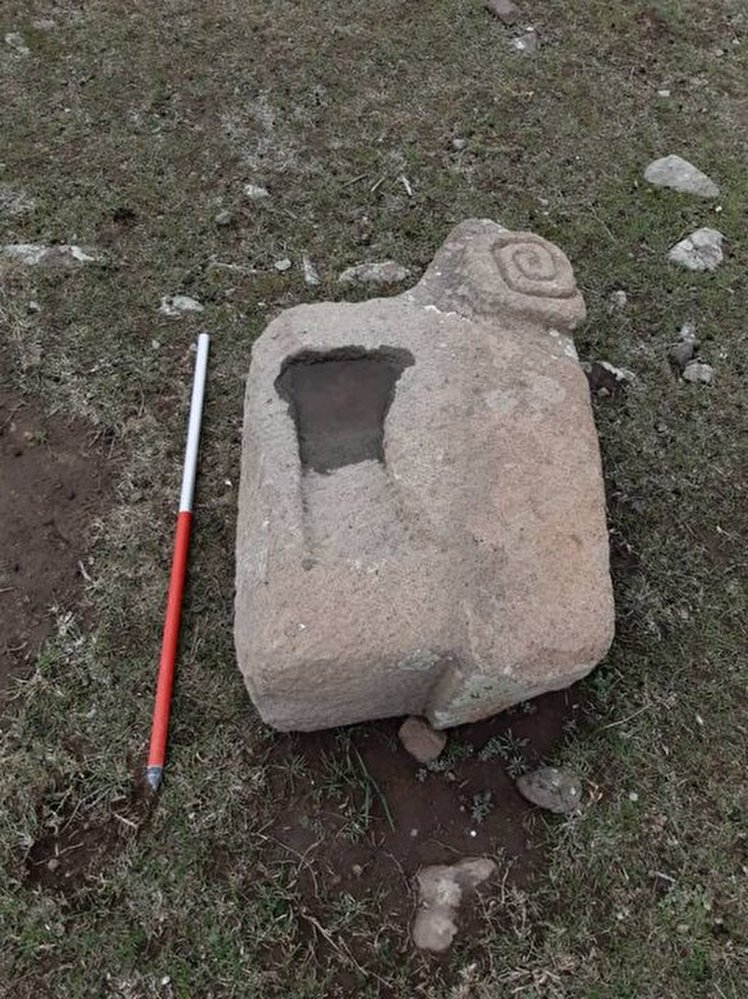 قوچ‌های سنگی را در بیابان رها کرده‌اند