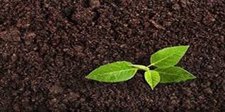 همایش روز جهانی خاک در ایلام برگزار می‌شود