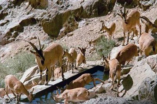 منطقه «خانگرمز» درهمدان ظرفیتی برای جذب گردشگر