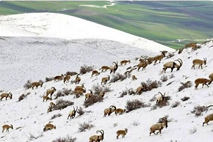 منطقه «خانگرمز» درهمدان ظرفیتی برای جذب گردشگر