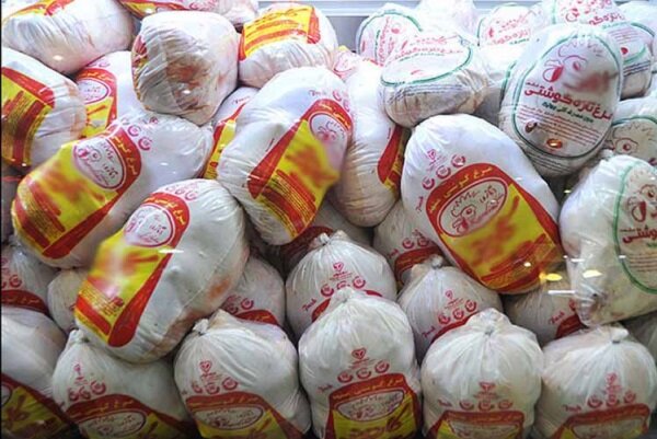 کشتار مرغ سایز در استان سمنان جمع‌آوری می‌شود