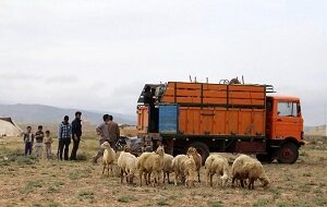 عشایر امسال ماشینی کوچ کنند