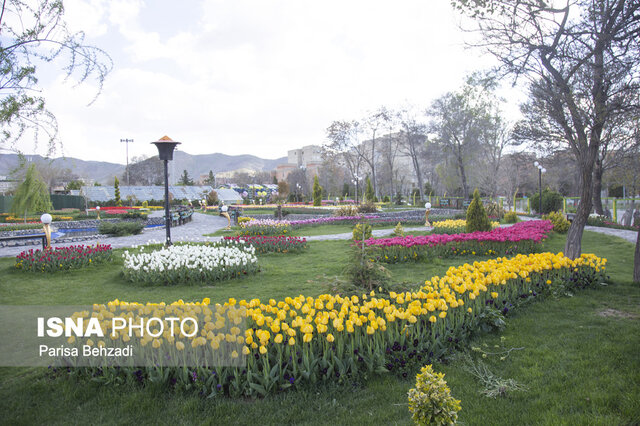 سومین جشنواره گل‌های لاله در اراک آغاز بکار کرد