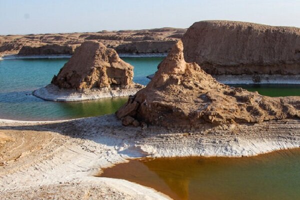 حضور پرندگان مهاجر در میانه کویر لوت/ دریاچه جوان جان دوباره گرفت