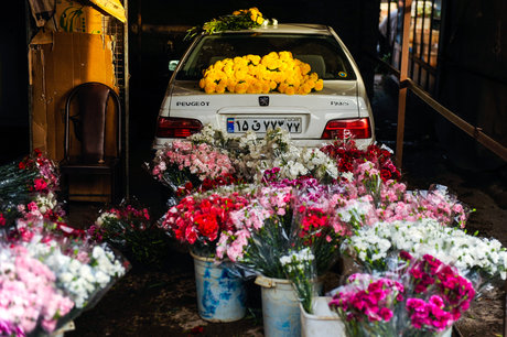 بازار گل محلاتی