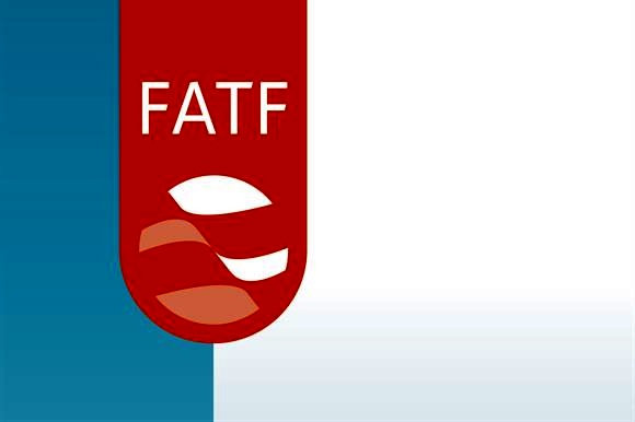 FATF مهره بازی سیاسی نیست/ مشکل دارو FATF است نه تحریم