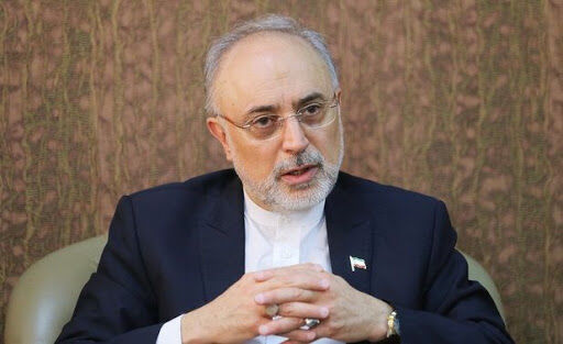صالحی: آماده آغاز غنیسازی ۲۰درصدی هستیم صالحی: آماده آغاز غنیسازی ۲۰درصدی هستیم