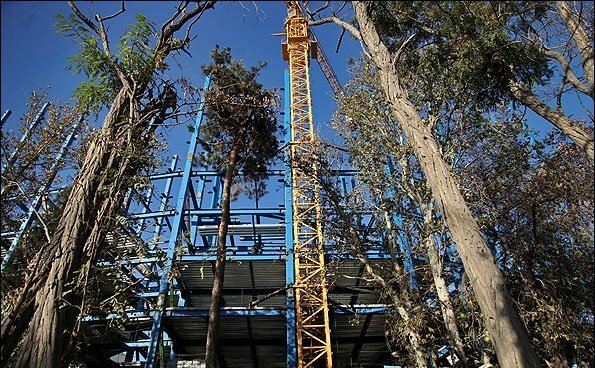 رییس کمیته معماری و طرح‌های شهری شورای اسلامی تهران:۱۰۳ هکتار از باغ‌های پایتخت به برج تبدیل شد