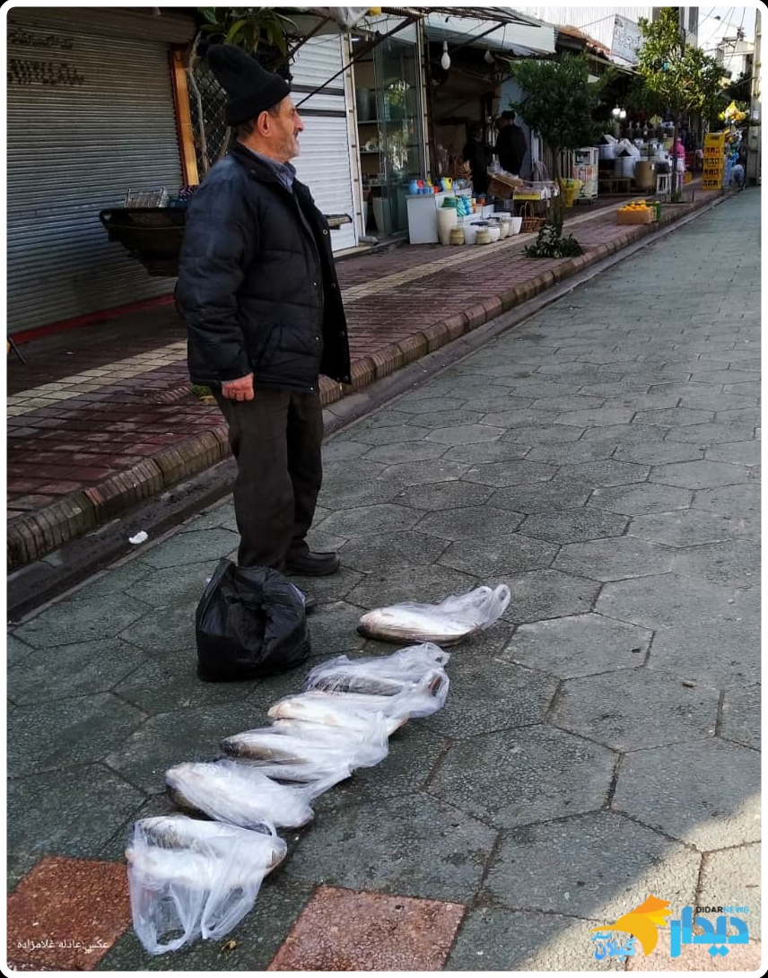 مجموعه عکس های جوان گیلانی...