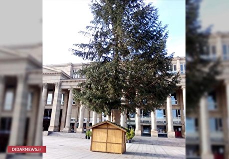 گزارش تصویری: تک درخت کریسمس در اشتوتگارت