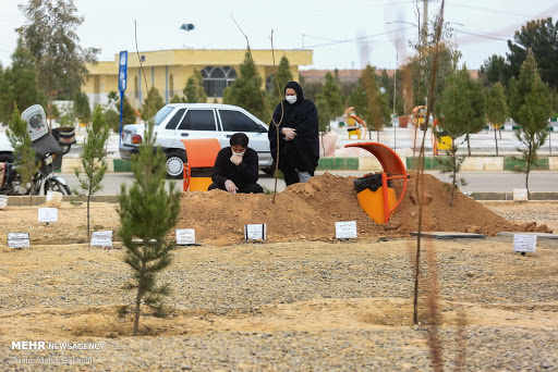 من درد مشترکم