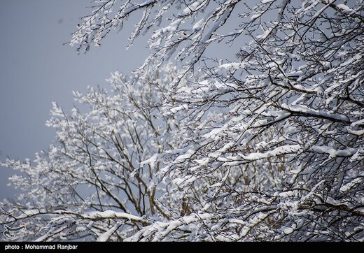 وزش باد شدید در تهران؛ دمای هوا ۷ درجه سردتر می‌شود