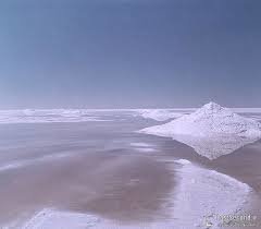 مطالعات صنعتی دریاچه نمک باید با ملاحظات زیست محیطی همراه باشد