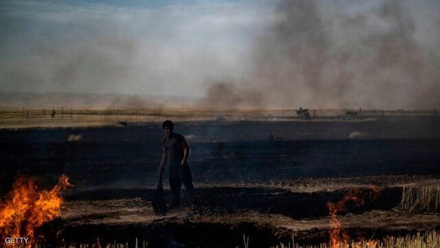 مزارع گندم سوریه به دستور ترامپ به آتش کشیده می‌شود
