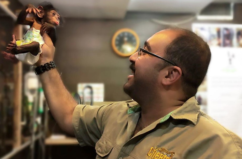 کمپین امضا برای شامپانزه باغ وحش تهران؛ باران را به مهد کودک بفرستید!