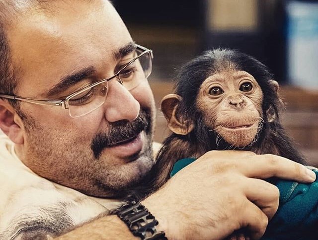 کمپین امضا برای شامپانزه باغ وحش تهران؛ باران را به مهد کودک بفرستید!