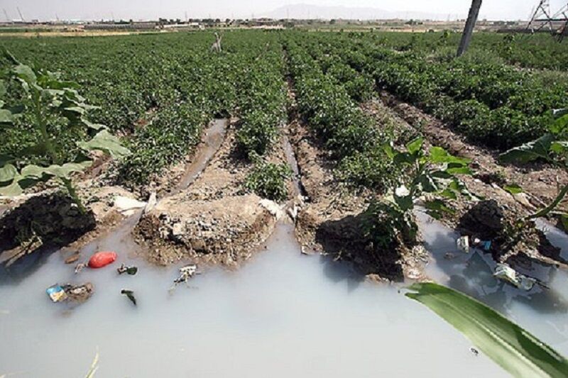 آبیاری محصولات کشاورزی با فاضلاب: معضلی که ادامه دارد