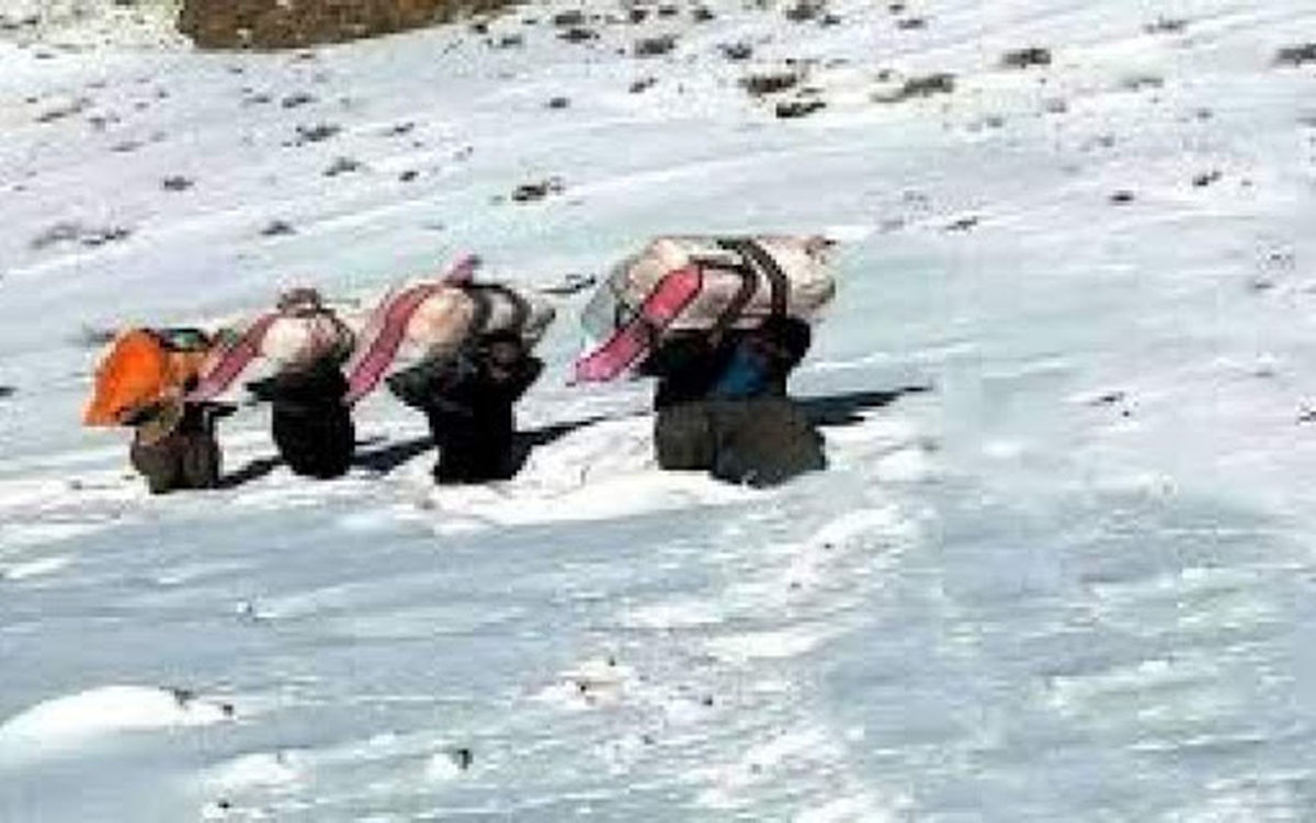 بنویسید به ما خون جگر هم بدهند/ درد دلی با کوهستان/ دردهایمان را به صخره‌ها می‌گوییم/ بین ما و مرگ فاصله‌ای نیست/ مرگ، آشنای نزدیک ماست