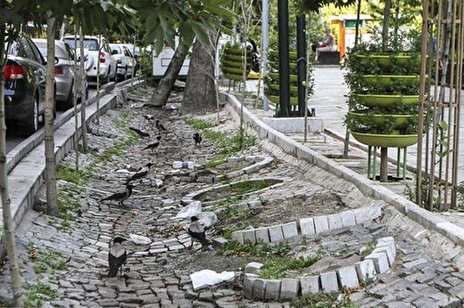 ویدئو/ علت قطع درختان خیابان ولیعصر تهران