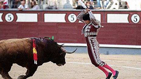 ویدئو/ زجرکش کردن گاو در فرهنگ اسپانیایی‌ها (۱۸+)