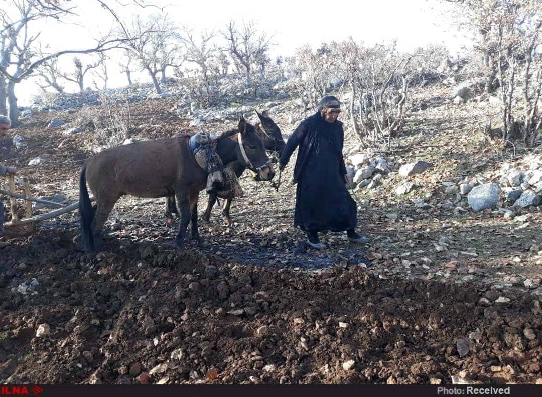 مردمان روستای پَلُم زنگو ایذه، در محاصره مرگ/ مردمانی که به آسانی می‌میرند