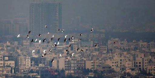 تداوم آلودگی هوای تهران در روزهای آینده/ضرورت اجرای قانون هوای پاک