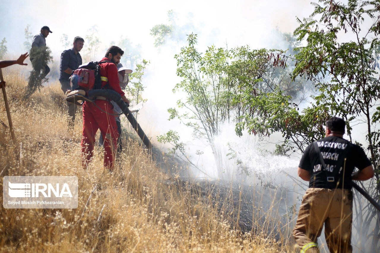 آتش سوزی درعرصه‌های طبیعی گچساران مهار شد