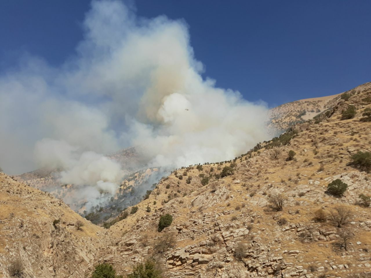 آتش سوزی در کوه سیلم چاروسا همچان زبانه می‌کشد