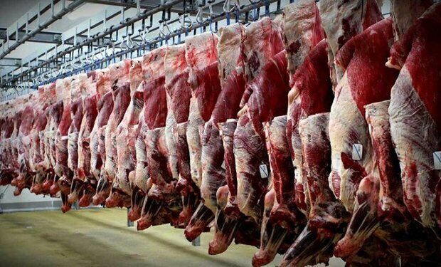 سقوط قیمت گوشت در تهران